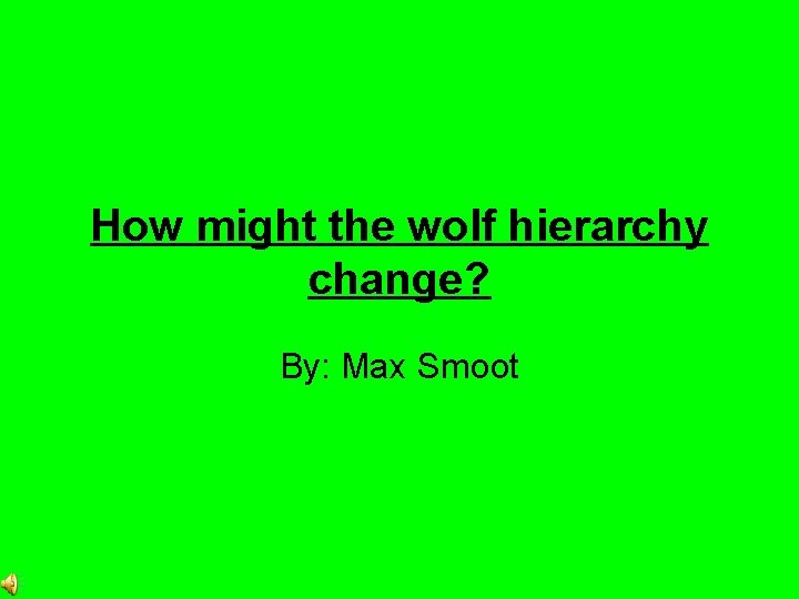 How might the wolf hierarchy change? By: Max Smoot 