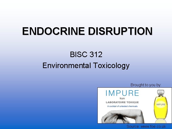 ENDOCRINE DISRUPTION BISC 312 Environmental Toxicology Brought to you by: Source: www. foe. co.