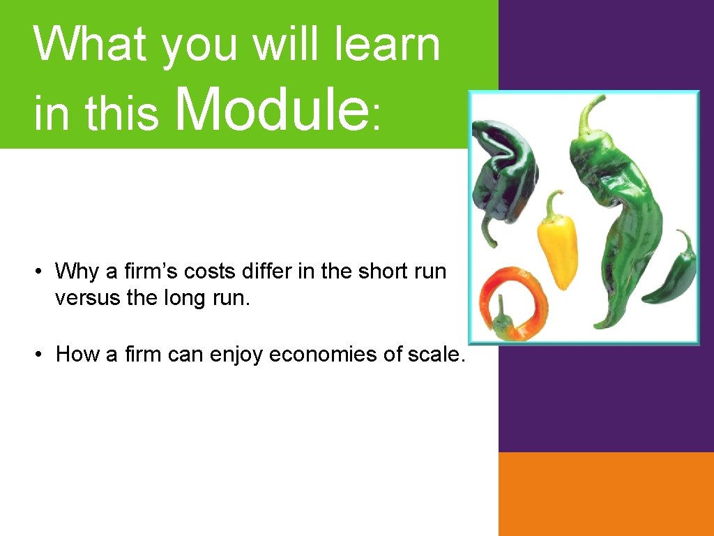 What you will learn in this Module: • Why a firm’s costs differ in