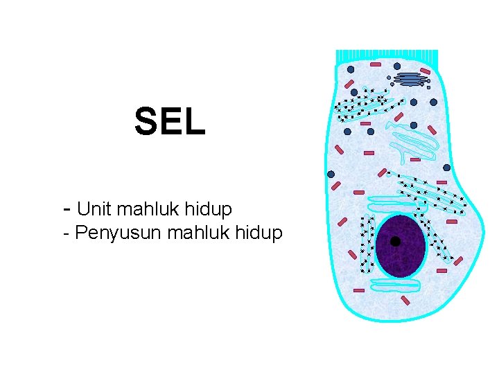 SEL - Unit mahluk hidup - Penyusun mahluk hidup 