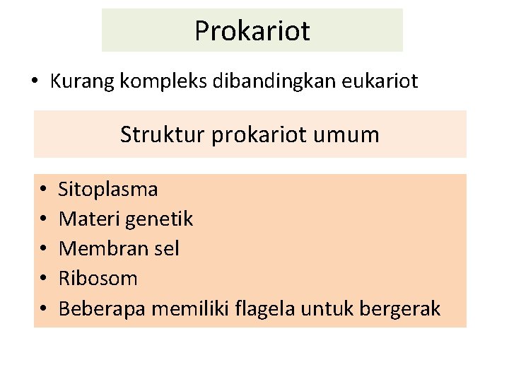 Prokariot • Kurang kompleks dibandingkan eukariot Struktur prokariot umum • • • Sitoplasma Materi