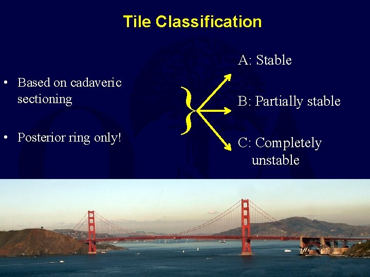 Tile Classification A: Stable • Based on cadaveric sectioning • Posterior ring only! }