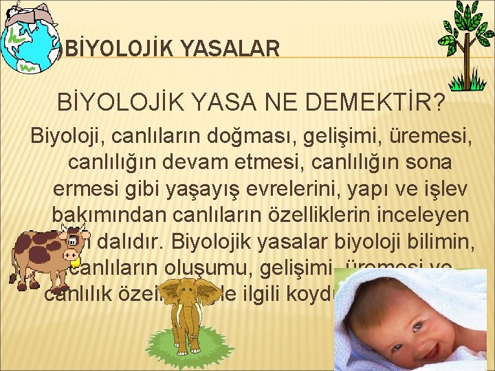 2. 2)BİYOLOJİK YASALAR BİYOLOJİK YASA NE DEMEKTİR? Biyoloji, canlıların doğması, gelişimi, üremesi, canlılığın devam