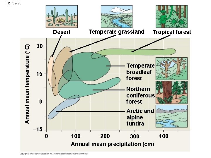 Fig. 52 -20 Annual mean temperature (ºC) Desert Temperate grassland Tropical forest 30 Temperate