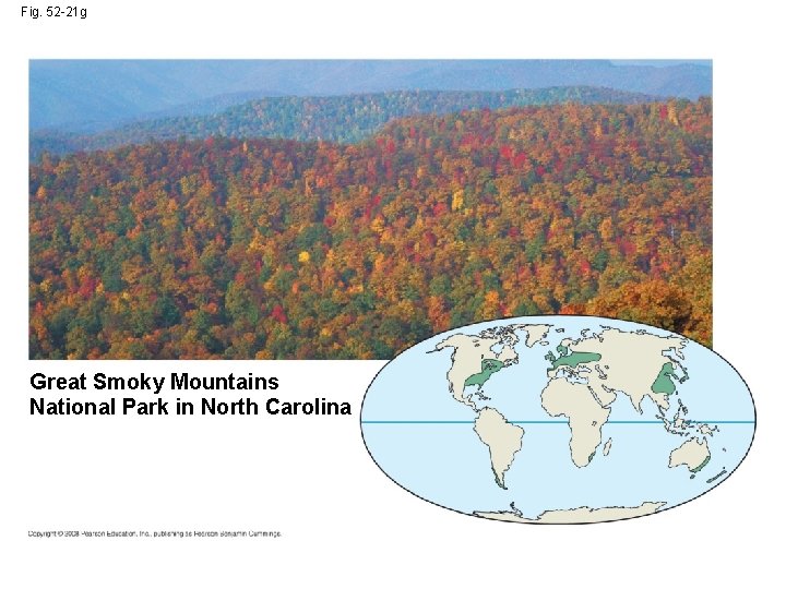 Fig. 52 -21 g Great Smoky Mountains National Park in North Carolina 