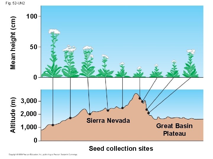 Mean height (cm) Fig. 52 -UN 2 100 50 Altitude (m) 0 3, 000