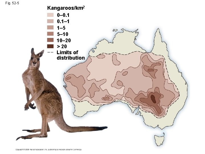 Fig. 52 -5 Kangaroos/km 2 0– 0. 1– 1 1– 5 5– 10 10–