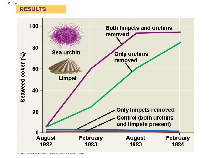 Fig. 52 -8 RESULTS 100 Seaweed cover (%) 80 Both limpets and urchins removed