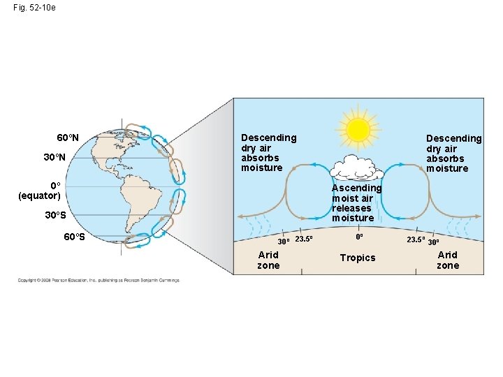 Fig. 52 -10 e 60ºN 30ºN Descending dry air absorbs moisture 0º (equator) Ascending