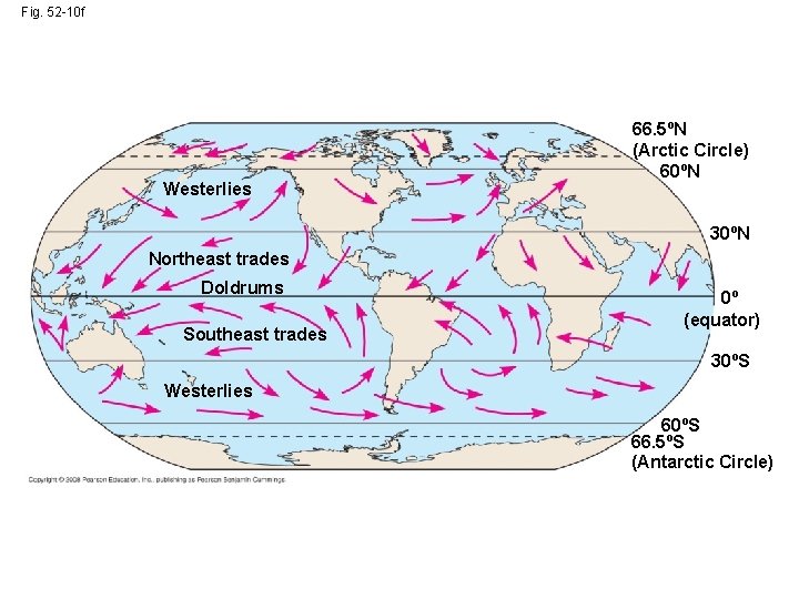 Fig. 52 -10 f Westerlies 66. 5ºN (Arctic Circle) 60ºN 30ºN Northeast trades Doldrums