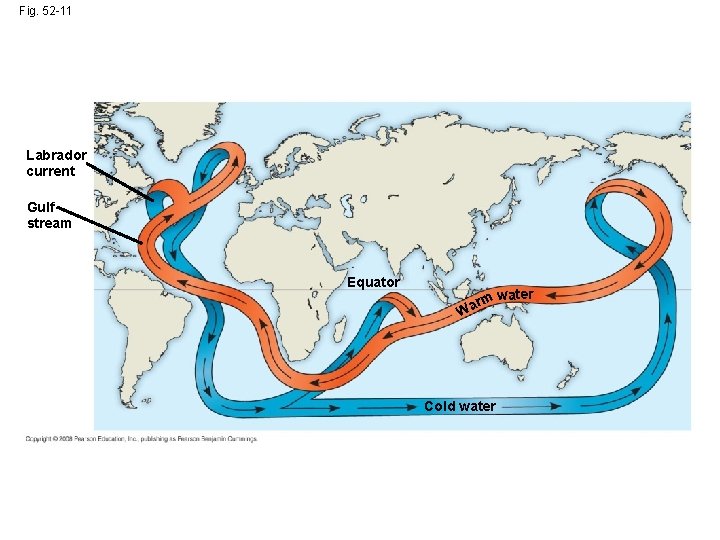 Fig. 52 -11 Labrador current Gulf stream Equator rm Wa Cold water 
