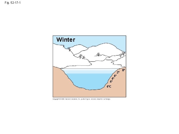Fig. 52 -17 -1 Winter 2º 4º 4ºC 0º 