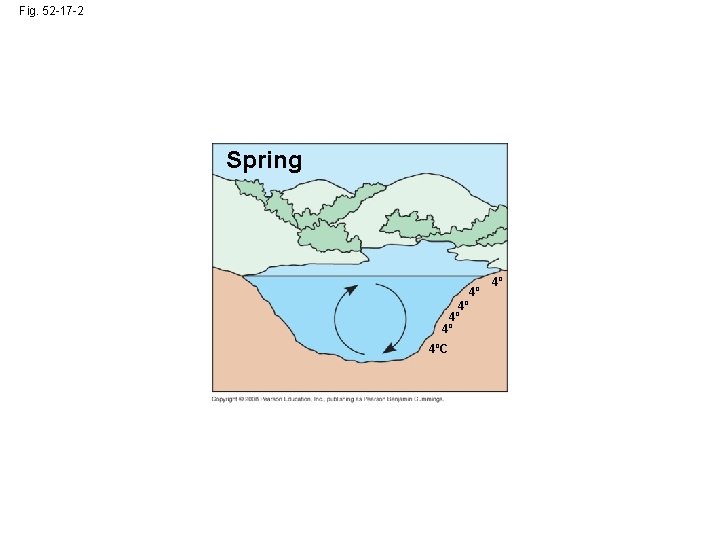 Fig. 52 -17 -2 Spring 4º 4º 4ºC 4º 