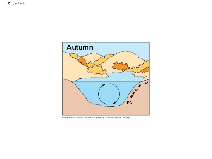 Fig. 52 -17 -4 Autumn 4º 4º 4ºC 4º 