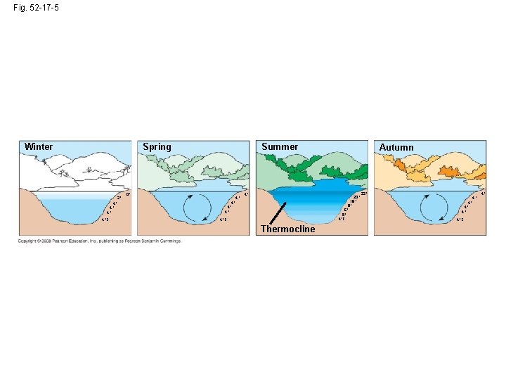 Fig. 52 -17 -5 Winter Summer Spring 2º 4º 4ºC 0º 4º 4º Autumn
