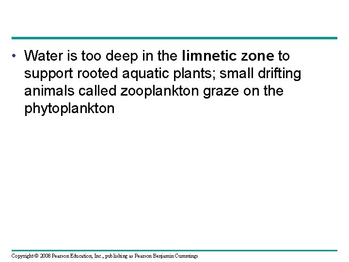  • Water is too deep in the limnetic zone to support rooted aquatic