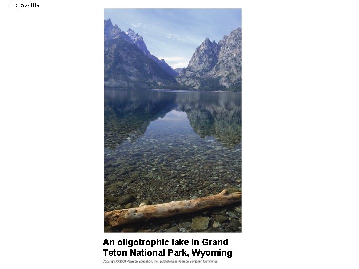 Fig. 52 -18 a An oligotrophic lake in Grand Teton National Park, Wyoming 