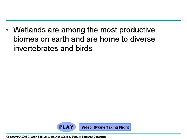 • Wetlands are among the most productive biomes on earth and are home