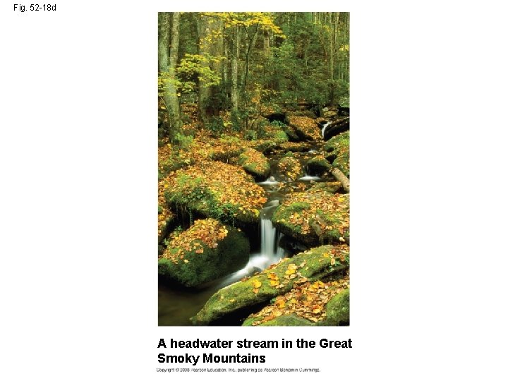 Fig. 52 -18 d A headwater stream in the Great Smoky Mountains 