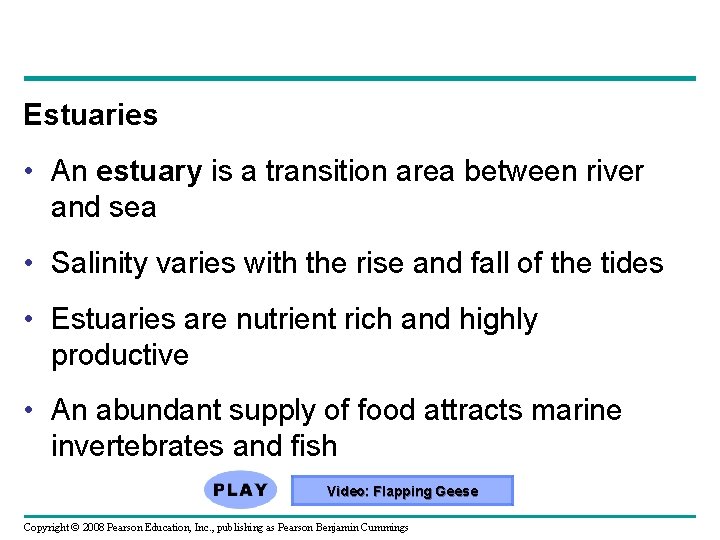 Estuaries • An estuary is a transition area between river and sea • Salinity