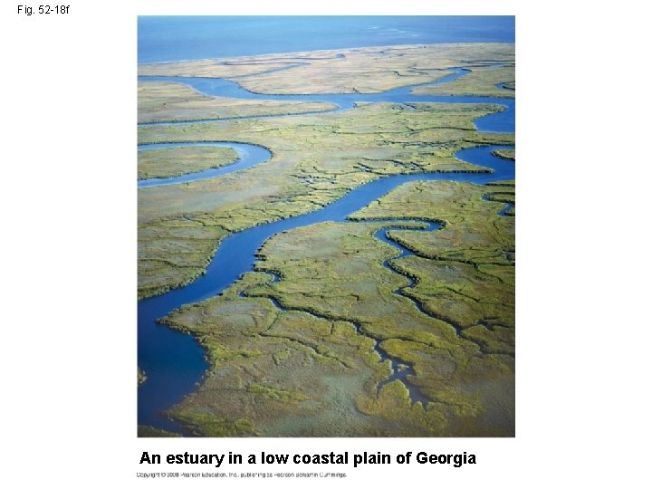 Fig. 52 -18 f An estuary in a low coastal plain of Georgia 