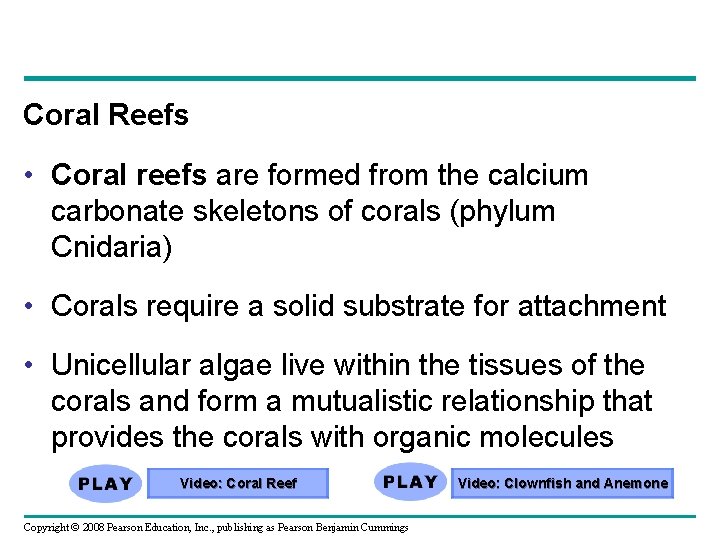 Coral Reefs • Coral reefs are formed from the calcium carbonate skeletons of corals