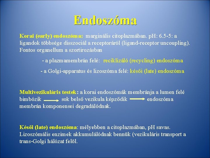 Endoszóma Korai (early) endoszóma: marginális citoplazmában. p. H: 6. 5 -5: a ligandok többsége