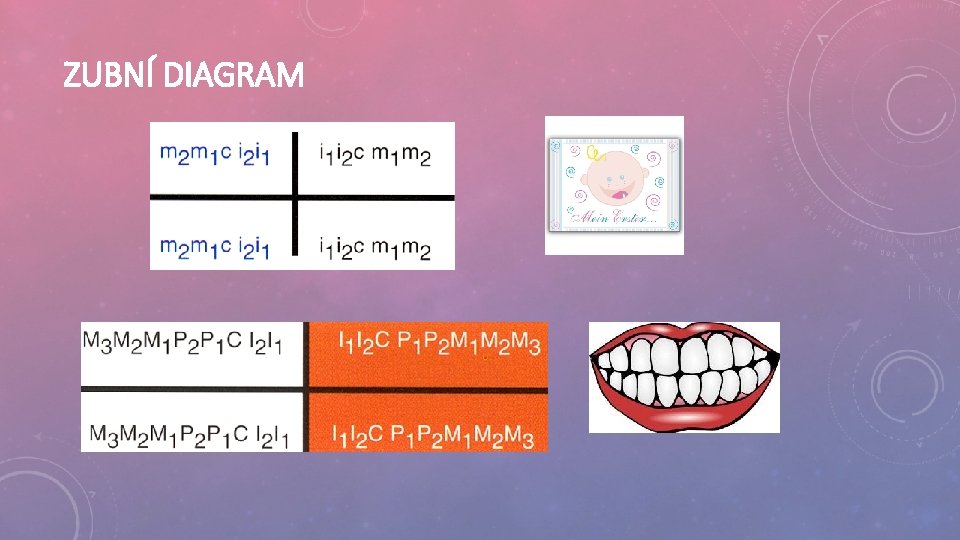 ZUBNÍ DIAGRAM 