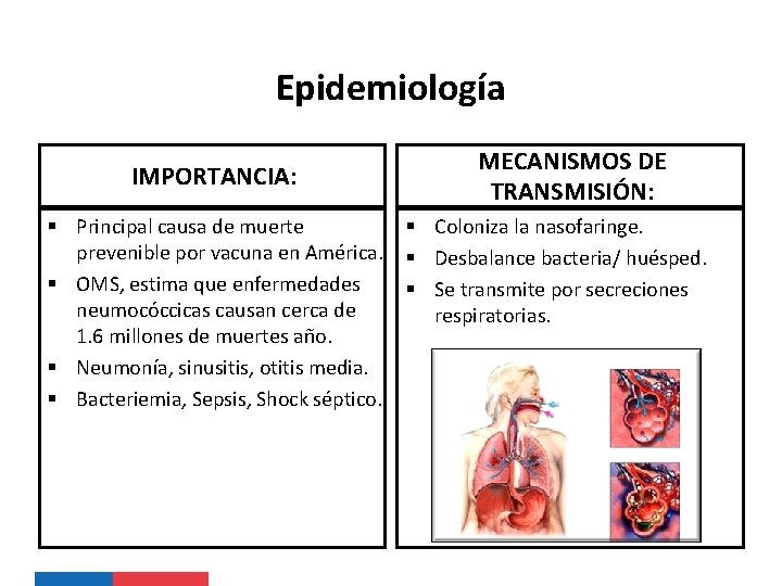 Epidemiología IMPORTANCIA: MECANISMOS DE TRANSMISIÓN: § Principal causa de muerte § Coloniza la nasofaringe.
