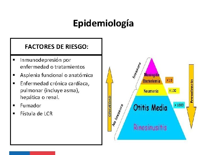 Epidemiología FACTORES DE RIESGO: § Inmunodepresión por enfermedad o tratamientos § Asplenia funcional o