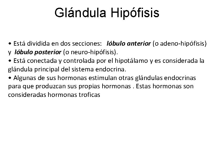 Glándula Hipófisis • Está dividida en dos secciones: lóbulo anterior (o adeno-hipófisis) y lóbulo