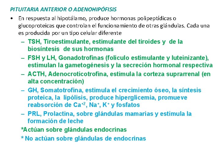 PITUITARIA ANTERIOR O ADENOHIPÓFISIS • En respuesta al hipotálamo, produce hormonas polipeptídicas o glucoproteicas