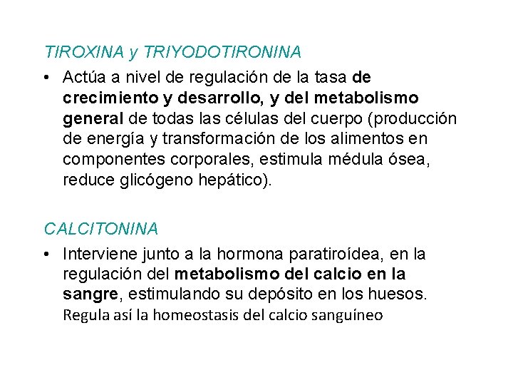 TIROXINA y TRIYODOTIRONINA • Actúa a nivel de regulación de la tasa de crecimiento