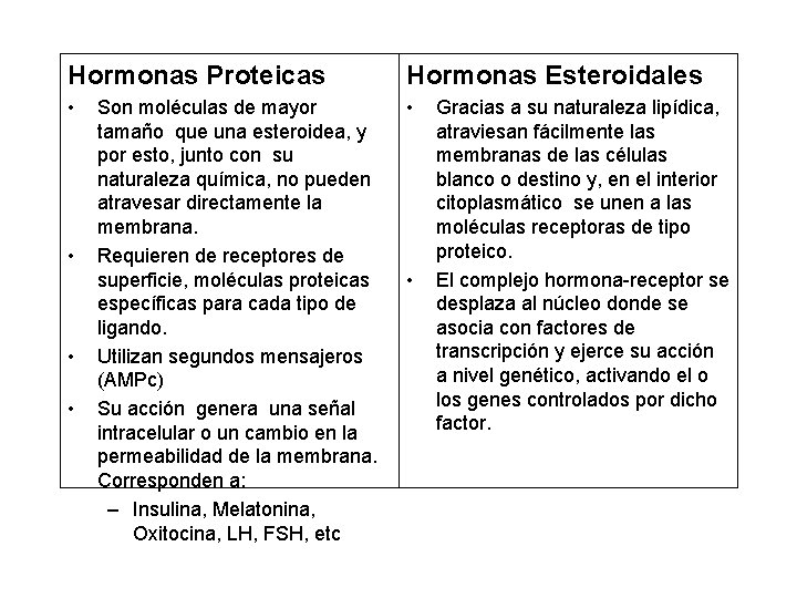 Hormonas Proteicas Hormonas Esteroidales • • • Son moléculas de mayor tamaño que una