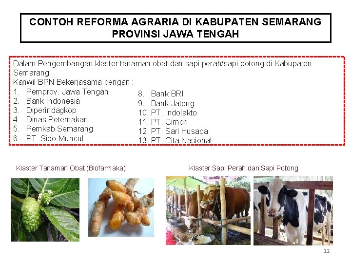 CONTOH REFORMA AGRARIA DI KABUPATEN SEMARANG PROVINSI JAWA TENGAH Dalam Pengembangan klaster tanaman obat