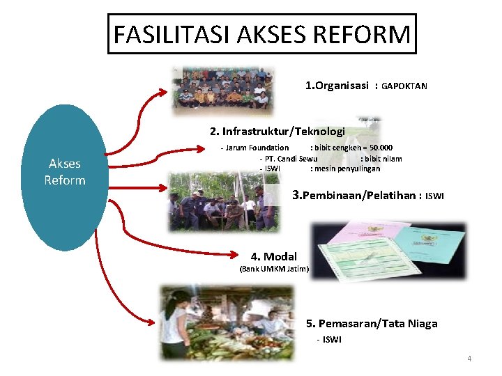 FASILITASI AKSES REFORM 1. Organisasi : GAPOKTAN 2. Infrastruktur/Teknologi - Jarum Foundation : bibit