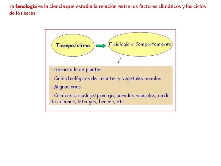 La fenología es la ciencia que estudia la relación entre los factores climáticos y