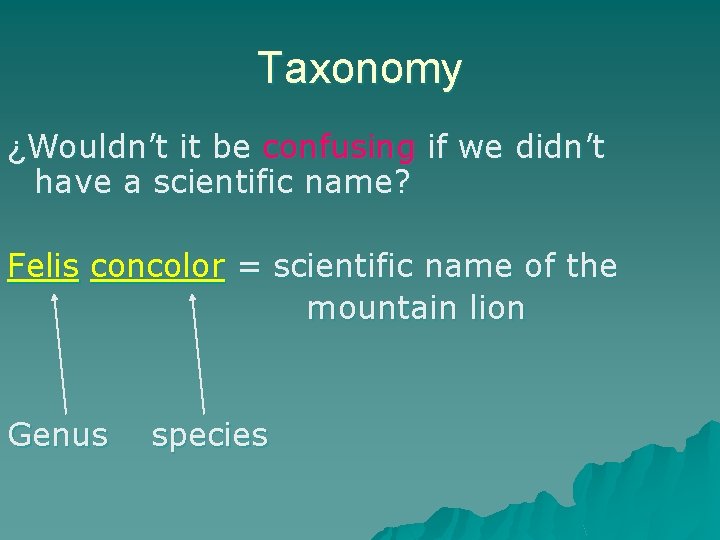 Taxonomy ¿Wouldn’t it be confusing if we didn’t have a scientific name? Felis concolor