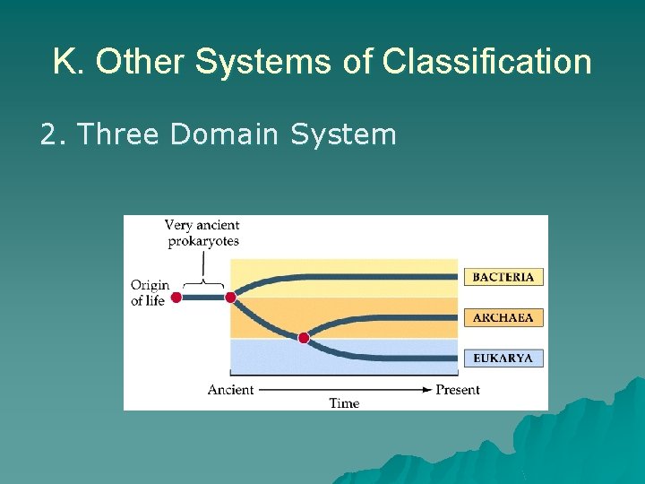 K. Other Systems of Classification 2. Three Domain System 