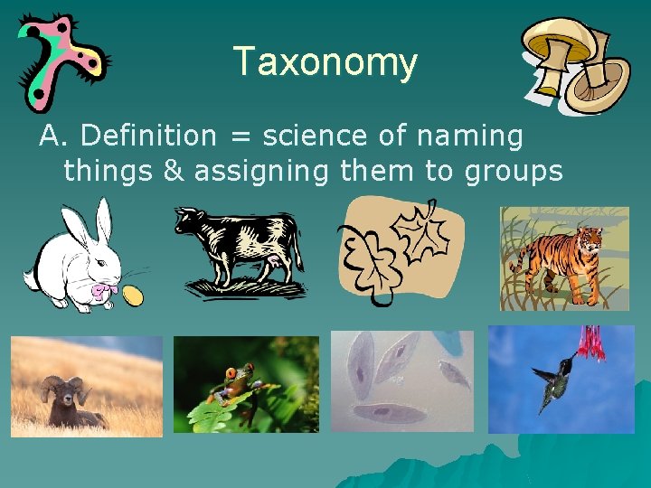 Taxonomy A. Definition = science of naming things & assigning them to groups 