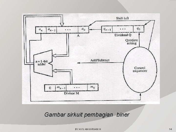 Gambar sirkuit pembagian biner BY AYU ANGGRIANI H 14 