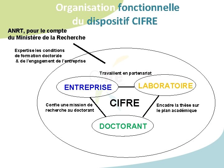 Organisation fonctionnelle du dispositif CIFREE ANRT, pour le compte du Ministère de la Recherche Organisation fonctionnelle du dispositif CIFREE ANRT, pour le compte du Ministère de la Recherche