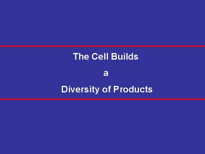 The Cell Builds a Diversity of Products 