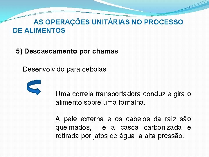 AS OPERAÇÕES UNITÁRIAS NO PROCESSO DE ALIMENTOS 5) Descascamento por chamas Desenvolvido para cebolas