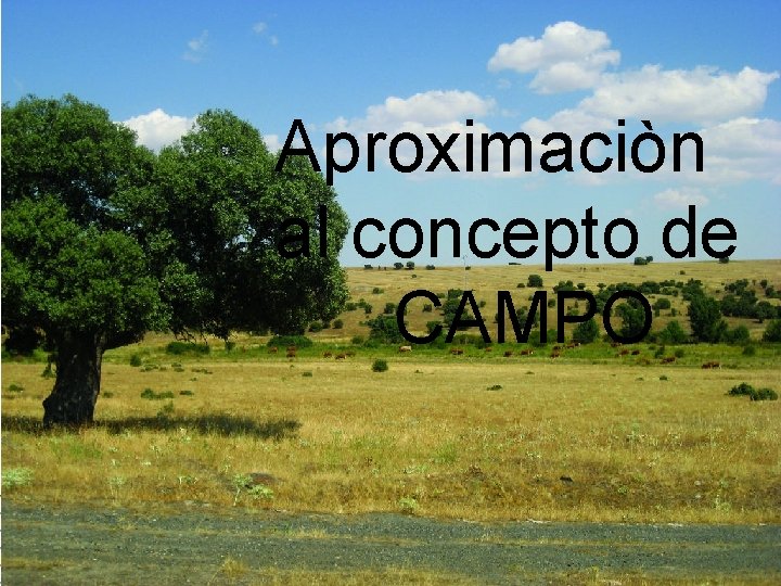 Aproximaciòn al concepto de CAMPO 