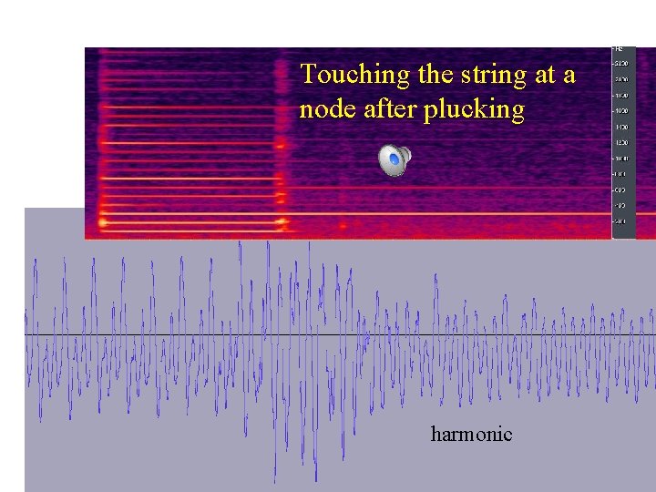 Touching the string at a node after plucking harmonic 