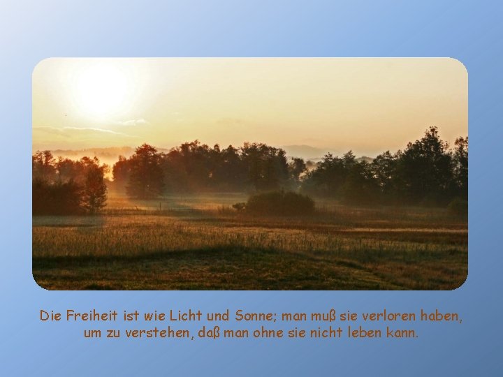 Die Freiheit ist wie Licht und Sonne; man muß sie verloren haben, um zu