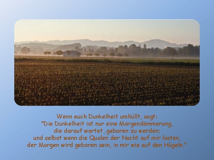 Wenn euch Dunkelheit umhüllt, sagt: "Die Dunkelheit ist nur eine Morgendämmerung, die darauf wartet,