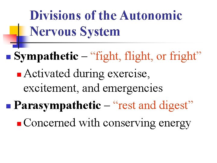 Divisions of the Autonomic Nervous System Sympathetic – “fight, flight, or fright” n Activated