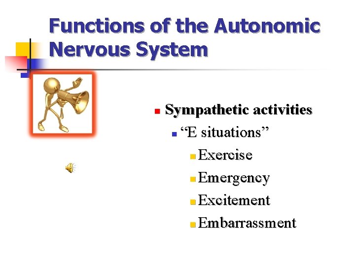Functions of the Autonomic Nervous System n Sympathetic activities n “E situations” n Exercise